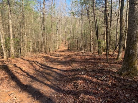 Ellijay, GA 30536 Gilmer County