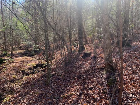 Ellijay, GA 30536 Gilmer County