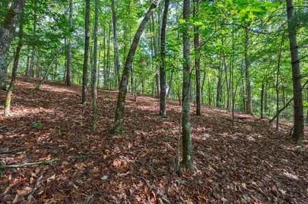 Sautee Nacoochee, GA 30571 White County