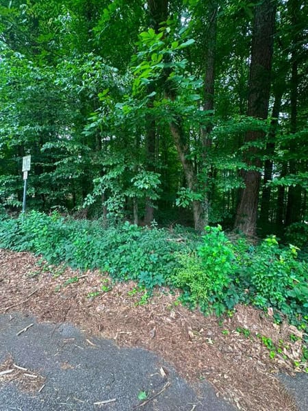 Stone Mountain, GA 30083 DeKalb County
