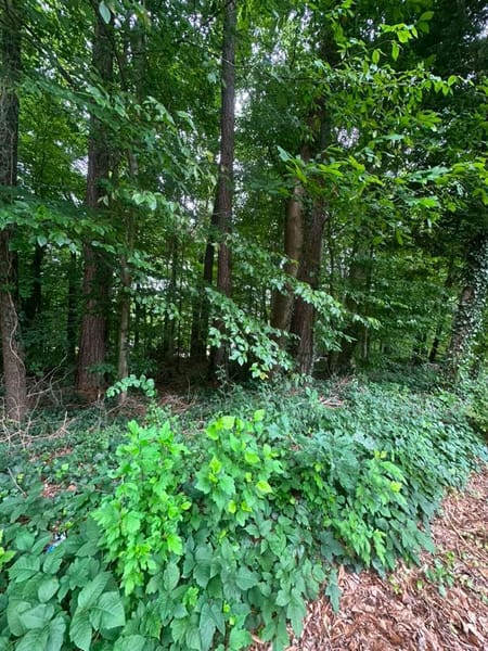 Stone Mountain, GA 30083 DeKalb County