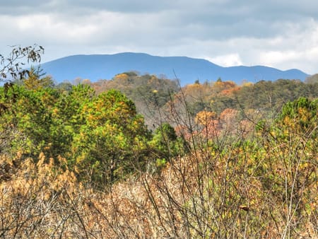 Mineral Bluff, GA 30559 Fannin County