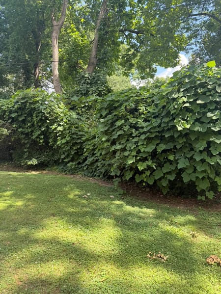 Atlanta, GA 30317 DeKalb County