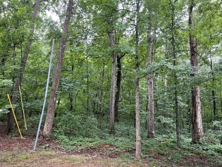 Ellenwood, GA 30294 DeKalb County