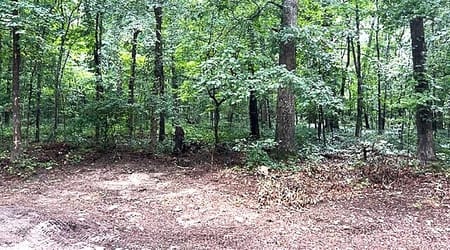 Ellenwood, GA 30294 DeKalb County