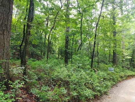 Lakemont, GA 30552 Rabun County