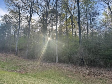 Watkinsville, GA 30677 Oconee County