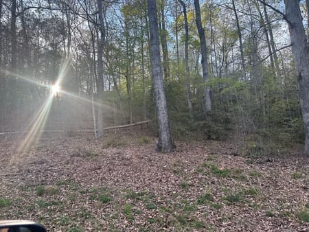 Watkinsville, GA 30677 Oconee County