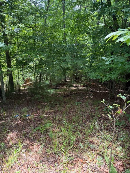 Blairsville, GA 30512 Union County