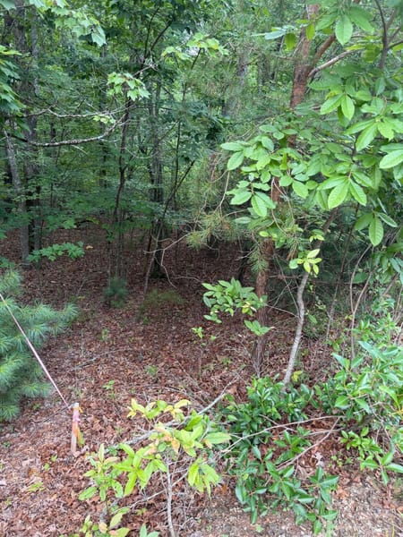 Blairsville, GA 30512 Union County