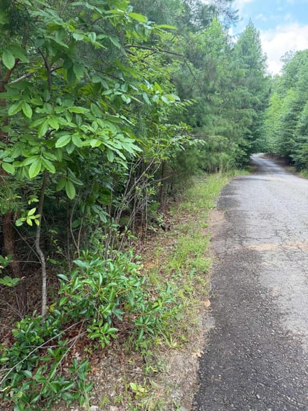 Blairsville, GA 30512 Union County
