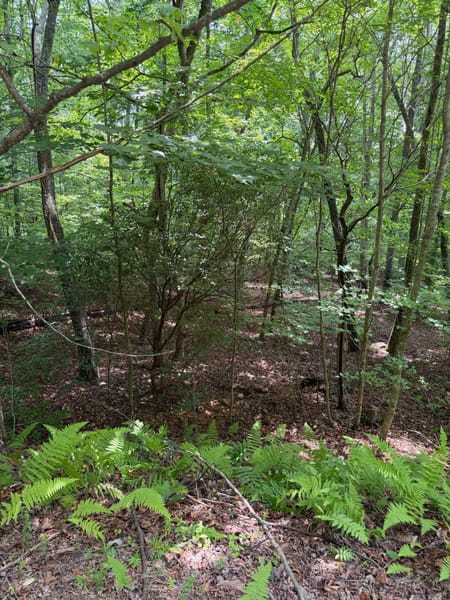 Blairsville, GA 30512 Union County