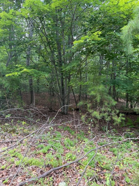 Blairsville, GA 30512 Union County
