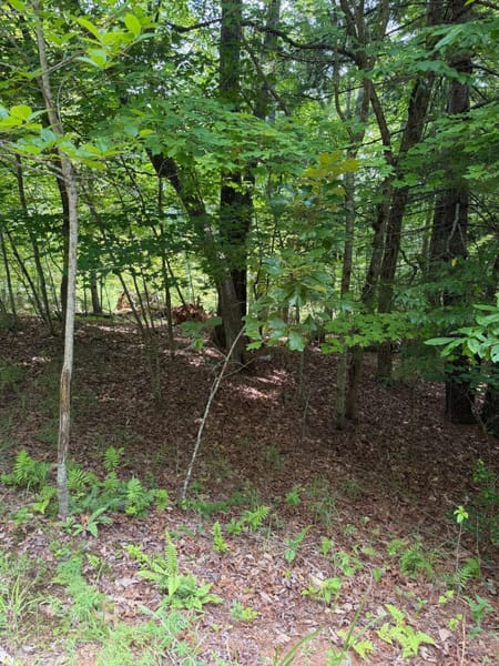 Blairsville, GA 30512 Union County