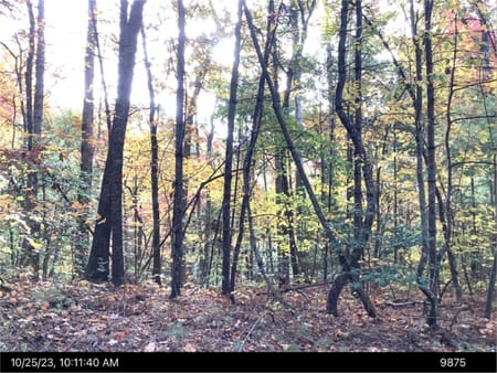 Ellijay, GA 30540 Gilmer County