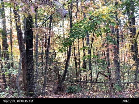 Ellijay, GA 30540 Gilmer County