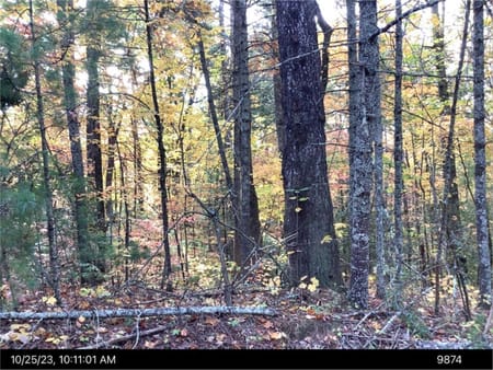 Ellijay, GA 30540 Gilmer County