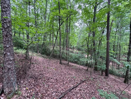 Ellijay, GA 30536 Gilmer County