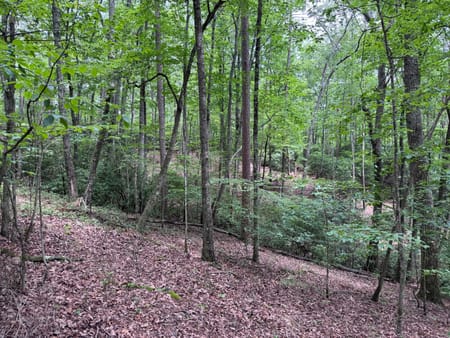 Ellijay, GA 30536 Gilmer County