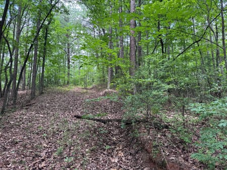 Ellijay, GA 30536 Gilmer County
