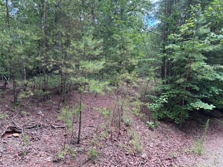 Ellijay, GA 30536 Gilmer County