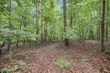 Ellijay, GA 30540 Gilmer County