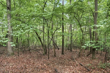 Ellijay, GA 30540 Gilmer County