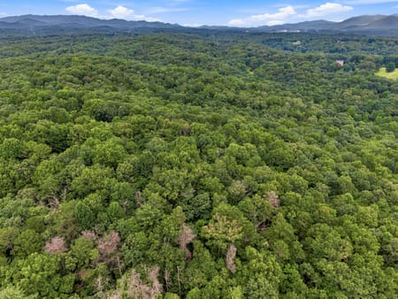 Ellijay, GA 30540 Gilmer County