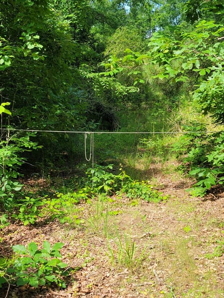 Locust Grove, GA 30248 Spalding County