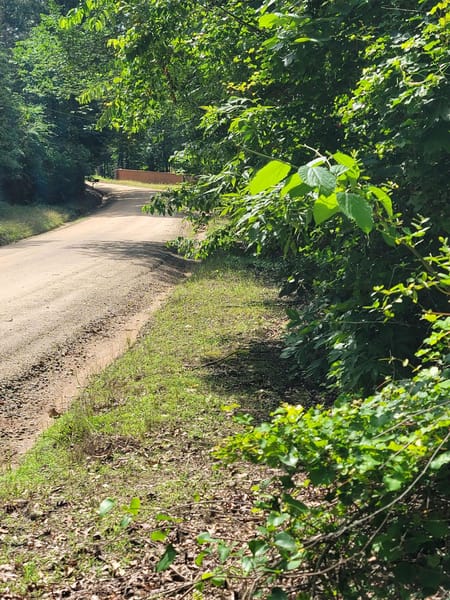 Locust Grove, GA 30248 Spalding County