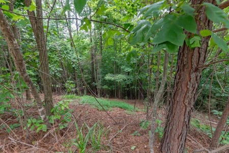 Blairsville, GA 30512 Union County