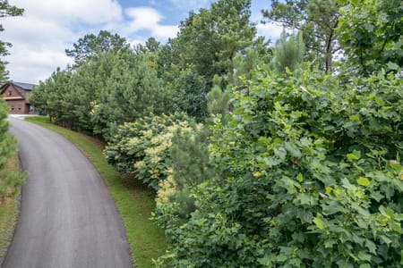Blairsville, GA 30512 Union County