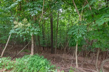 Blairsville, GA 30512 Union County