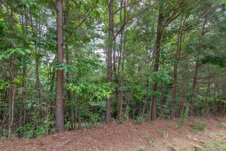 Blairsville, GA 30512 Union County