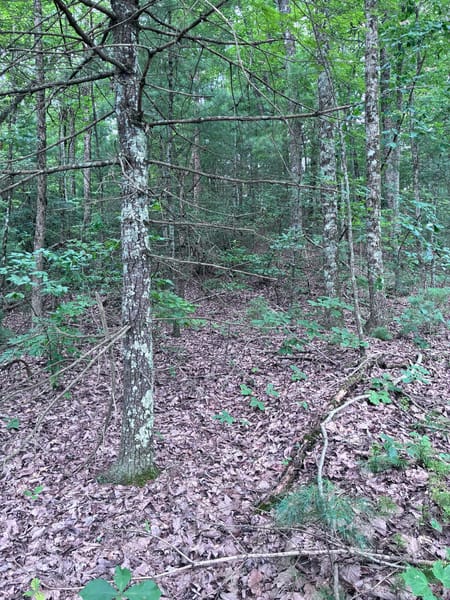 Ellijay, GA 30540 Gilmer County