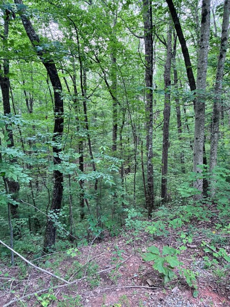 Ellijay, GA 30540 Gilmer County