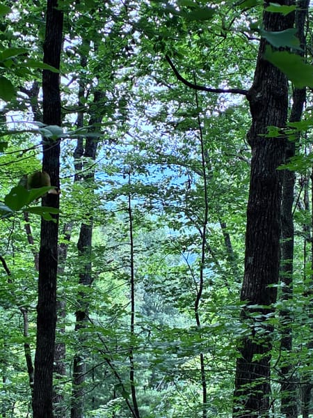 Ellijay, GA 30540 Gilmer County