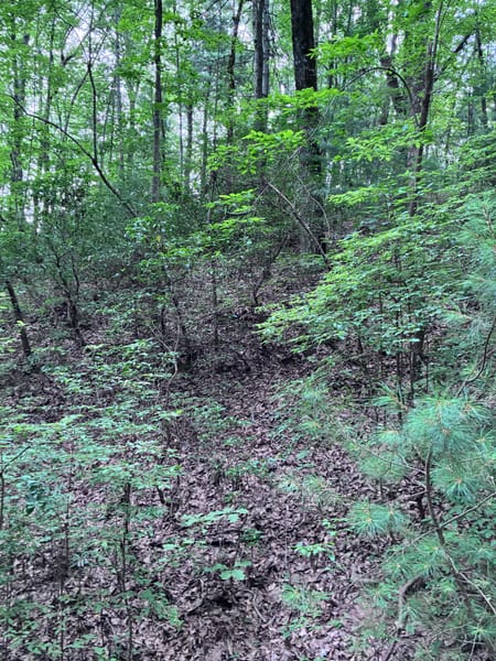 Ellijay, GA 30540 Gilmer County