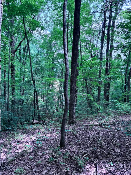 Ellijay, GA 30540 Gilmer County
