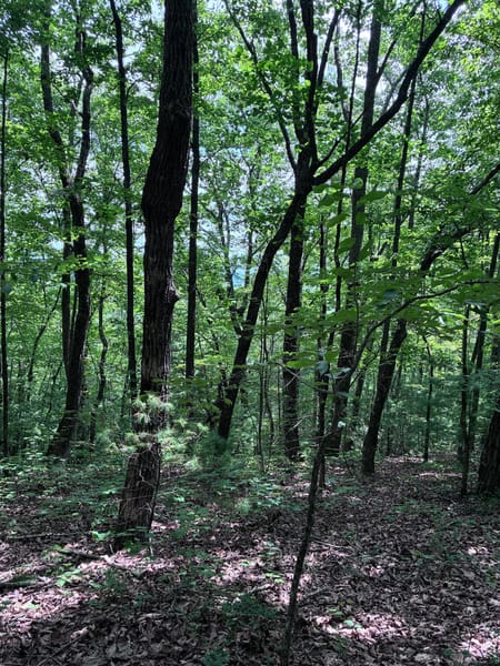 Ellijay, GA 30540 Gilmer County
