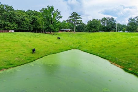 Tallapoosa, GA 30176 Haralson County