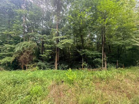 Ellijay, GA 30536 Gilmer County