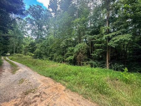 Ellijay, GA 30536 Gilmer County