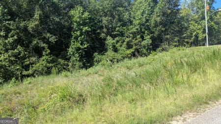 Sparta, GA 31087 Baldwin County