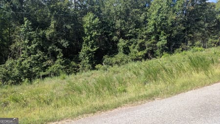 Sparta, GA 31087 Baldwin County