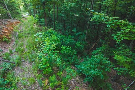 Ellijay, GA 30540 Gilmer County