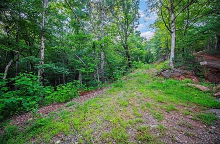 Ellijay, GA 30540 Gilmer County