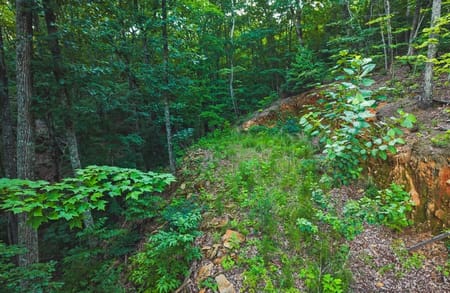 Ellijay, GA 30540 Gilmer County