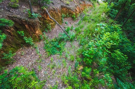 Ellijay, GA 30540 Gilmer County