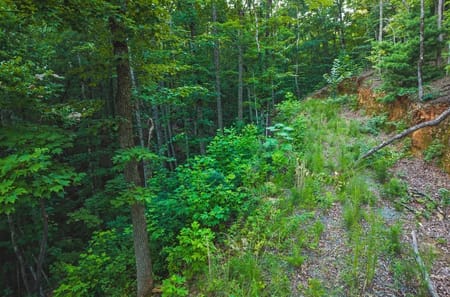 Ellijay, GA 30540 Gilmer County